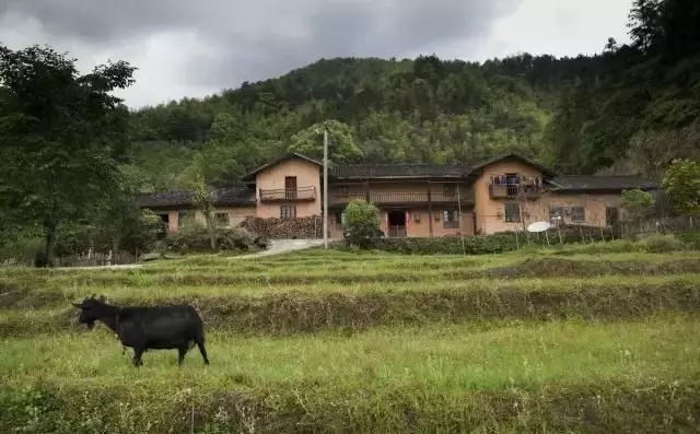 古山贡纸2.jpg