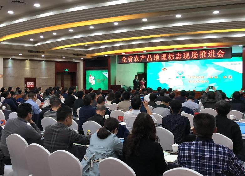湖南省农产品地理标志现场推进会.png
