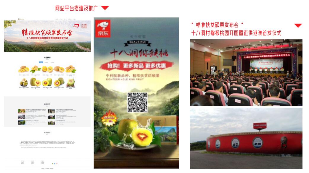 十八洞网站平台.jpg